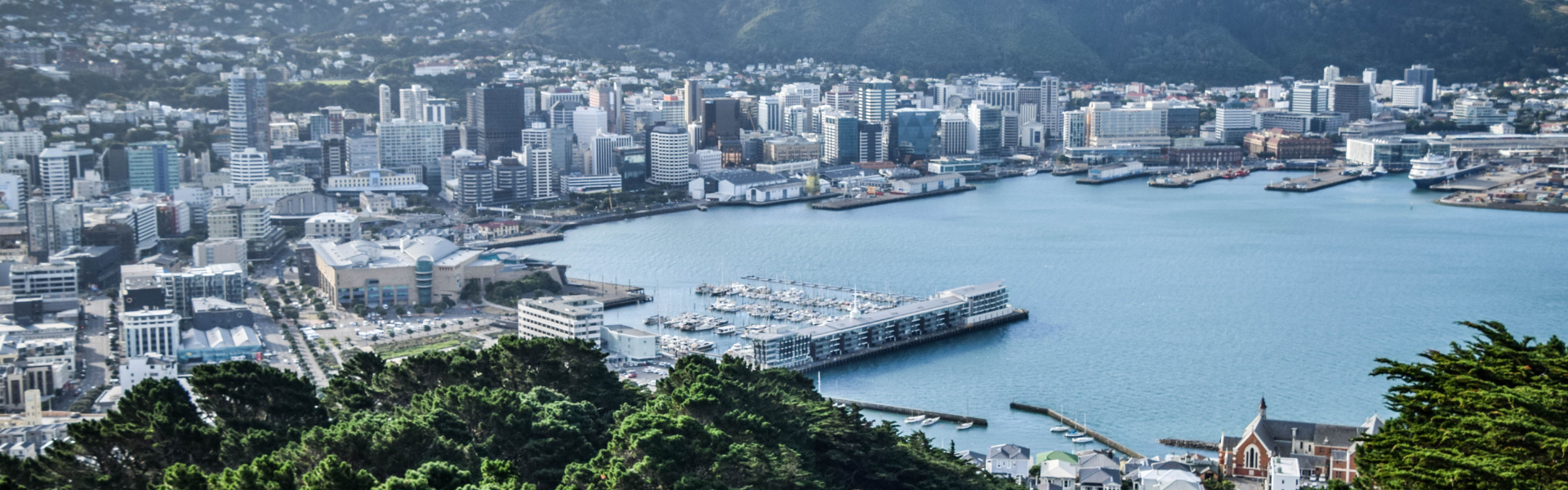 Fun Things to Do in Wellington